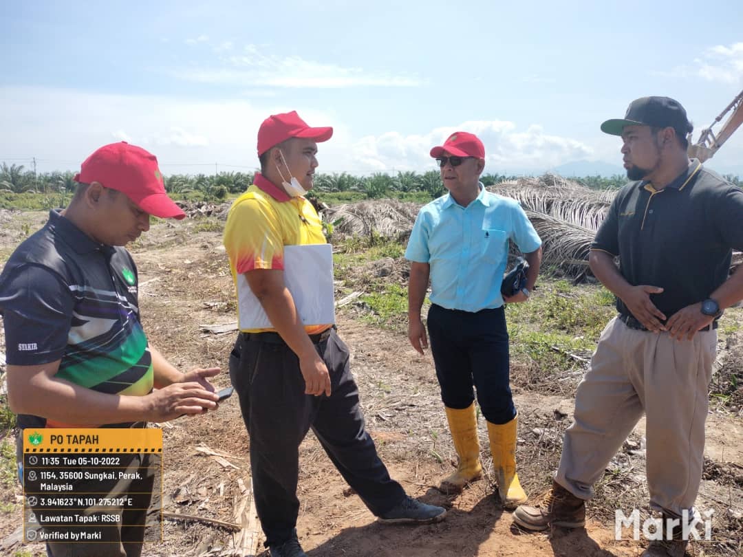 kelapa sawit122